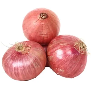 Onion