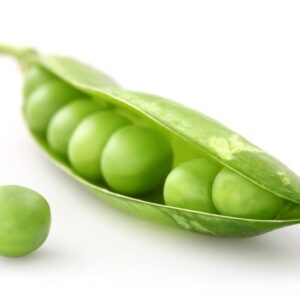 Pea