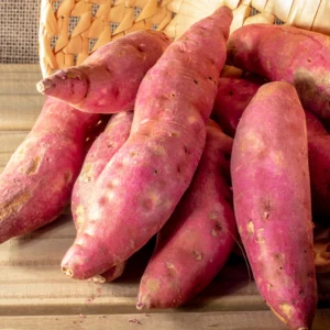 Sweet Potato